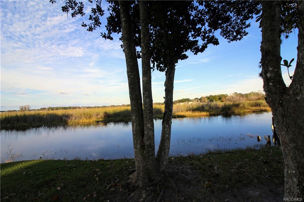 home for sale at 9033 E Tsala Apopka Drive, Inverness, FL 34450 in Hickory Hill Retreats