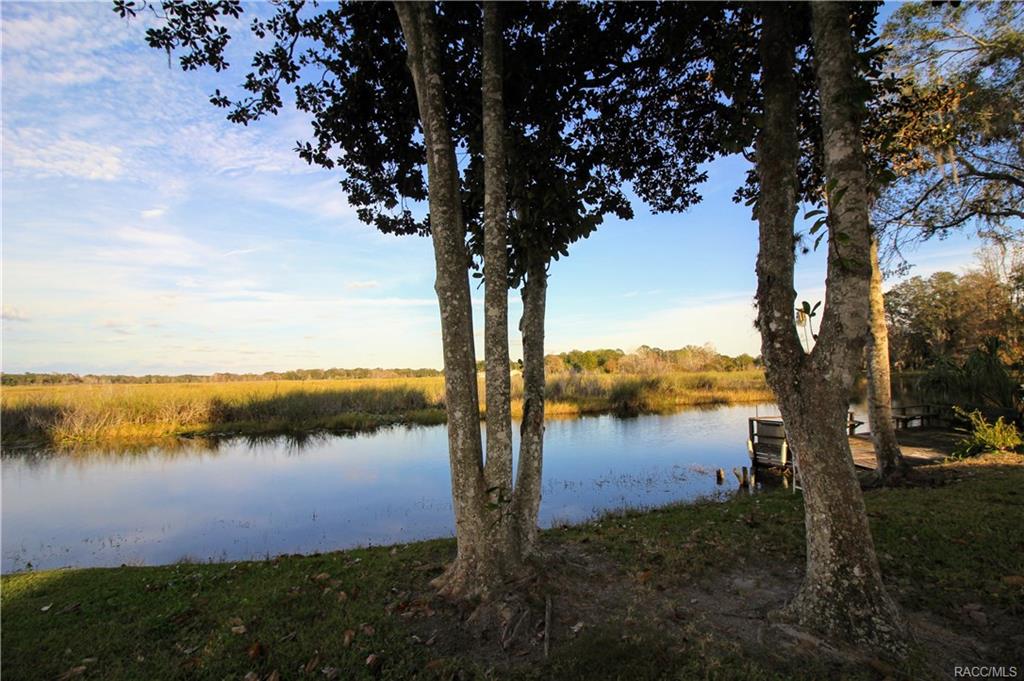 home for sale at 9033 E Tsala Apopka Drive, Inverness, FL 34450 in Hickory Hill Retreats