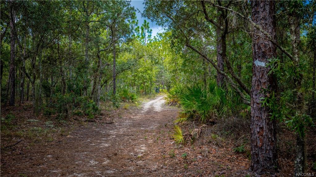 home for sale at in Citrus County