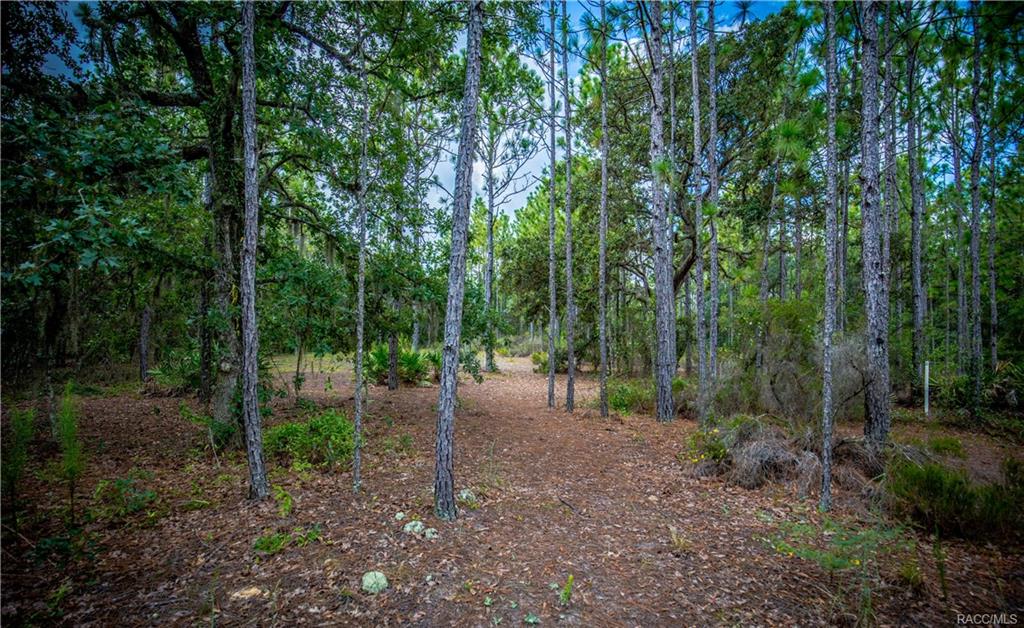 home for sale at in Citrus County