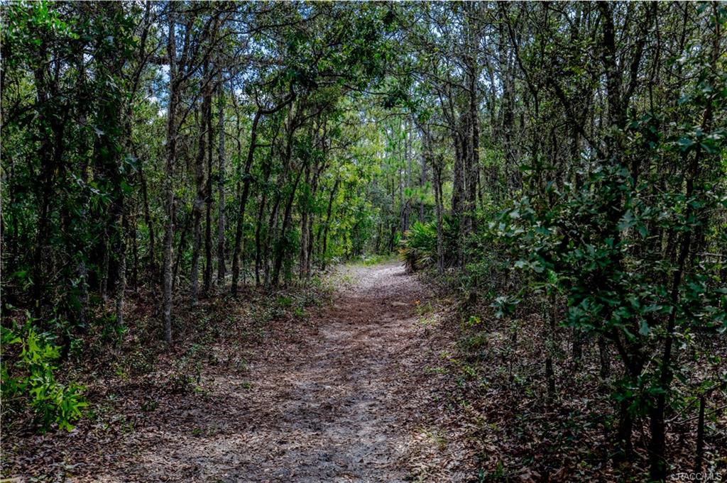 home for sale at in Citrus County