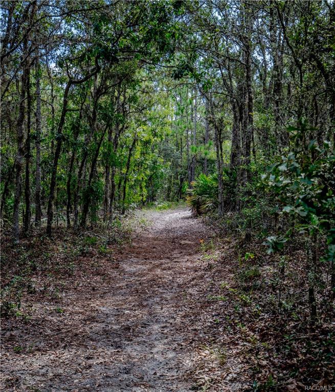 home for sale at in Citrus County