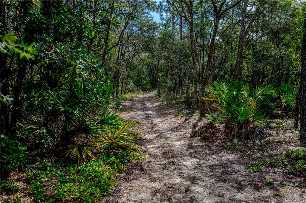 home for sale at in Citrus County