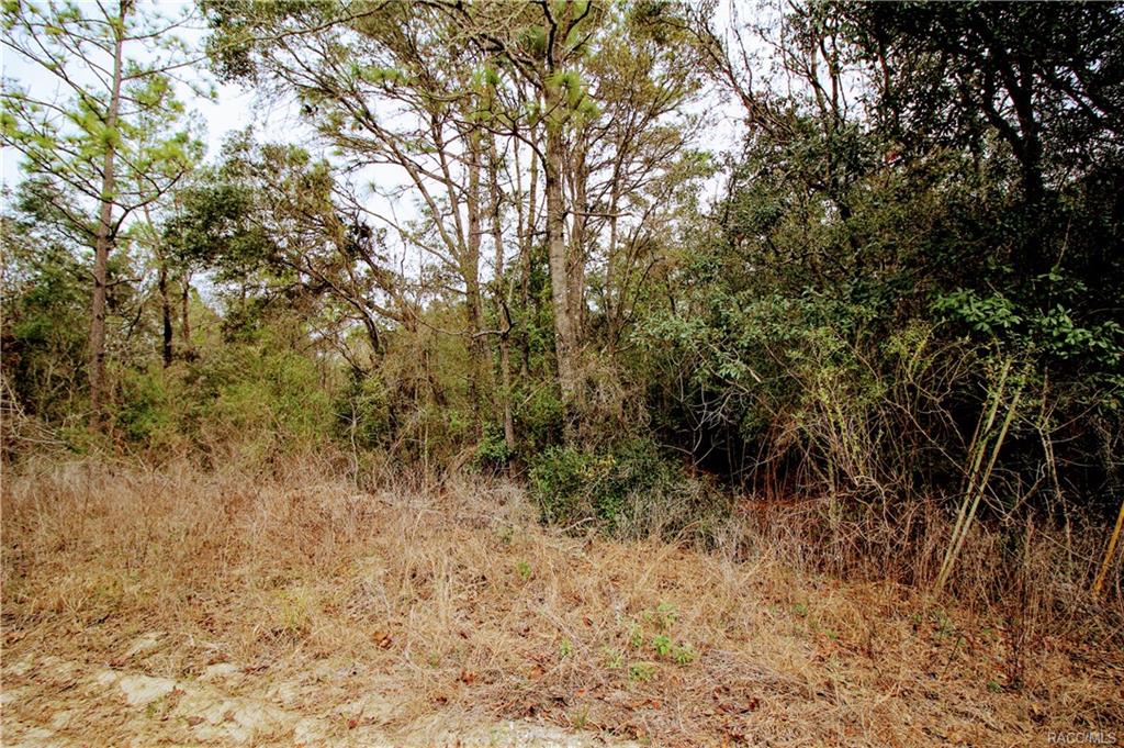 home for sale at in Citrus County