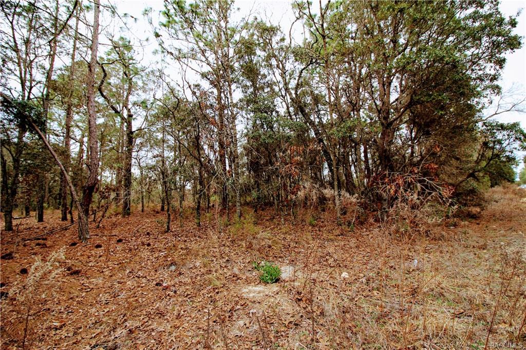 home for sale at in Citrus County