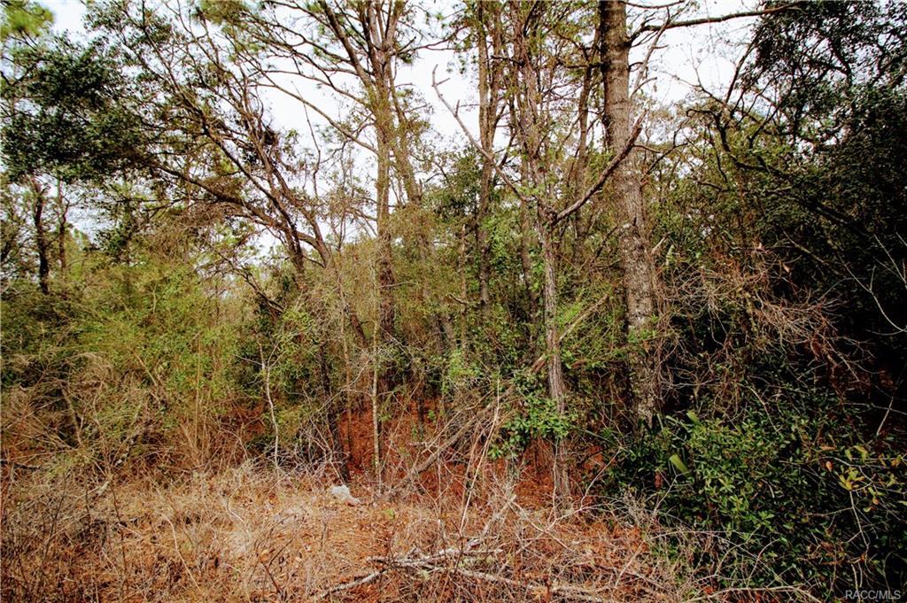 home for sale at in Citrus County