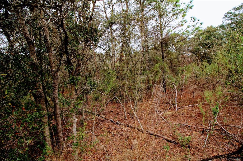 home for sale at in Citrus County