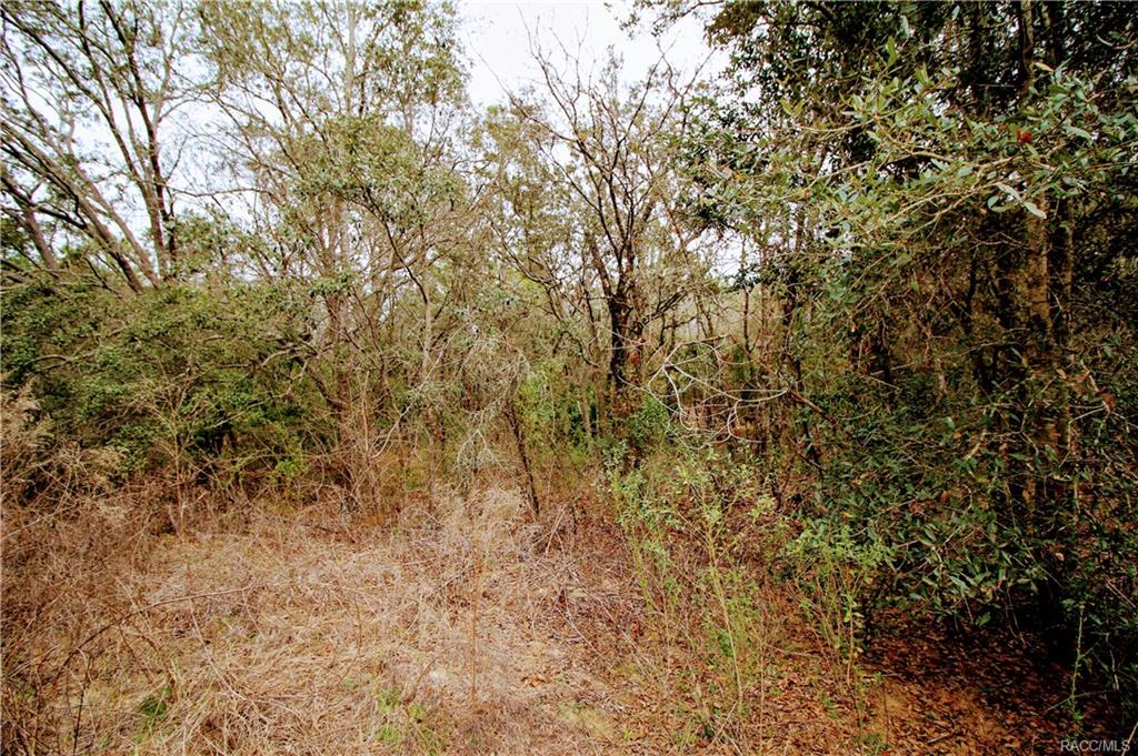 home for sale at in Citrus County