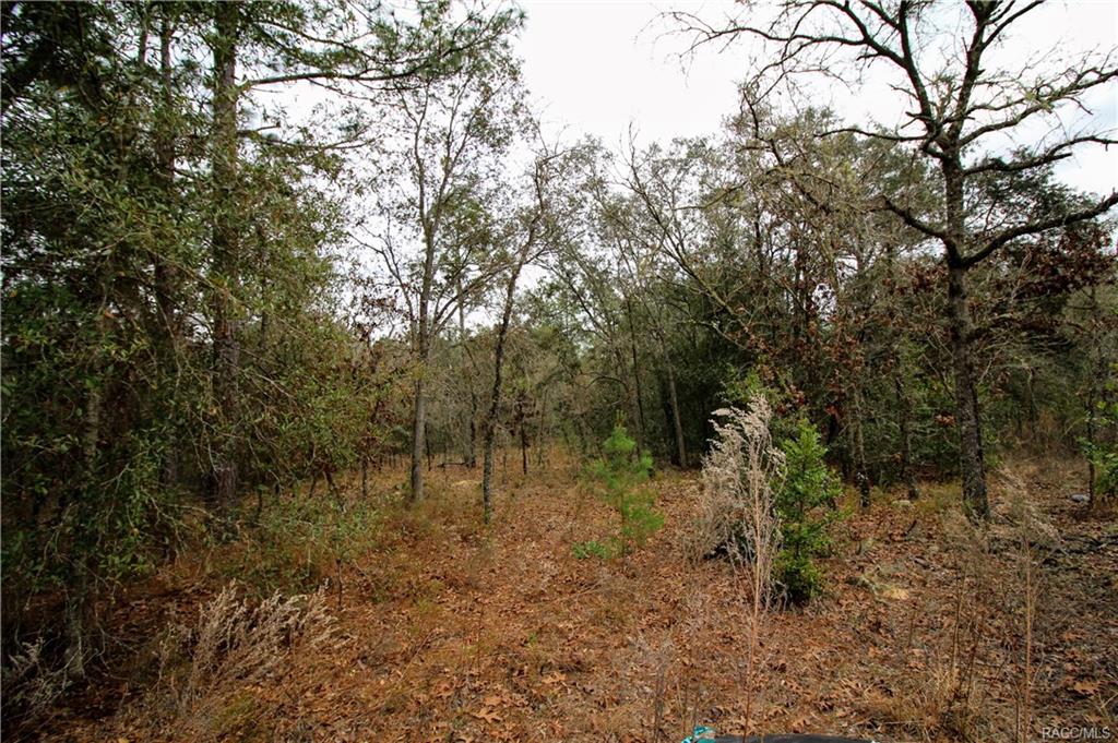 home for sale at in Citrus County