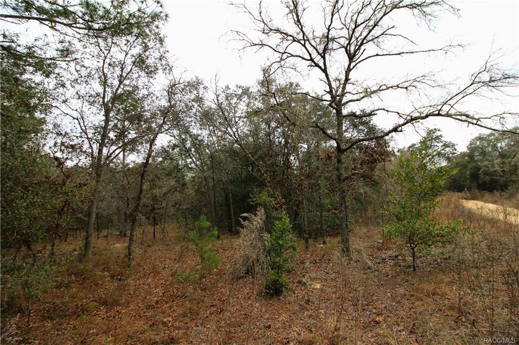 home for sale at in Citrus County