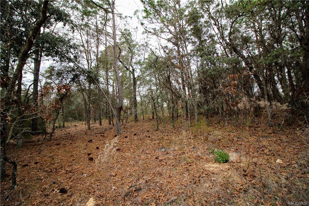 home for sale at in Citrus County