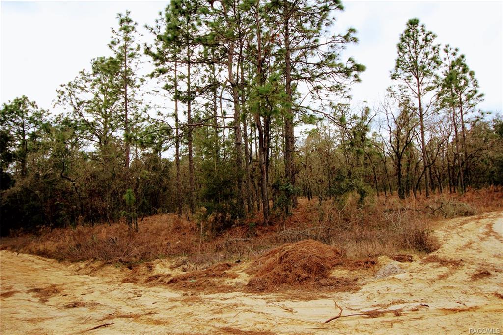 home for sale at in Citrus County