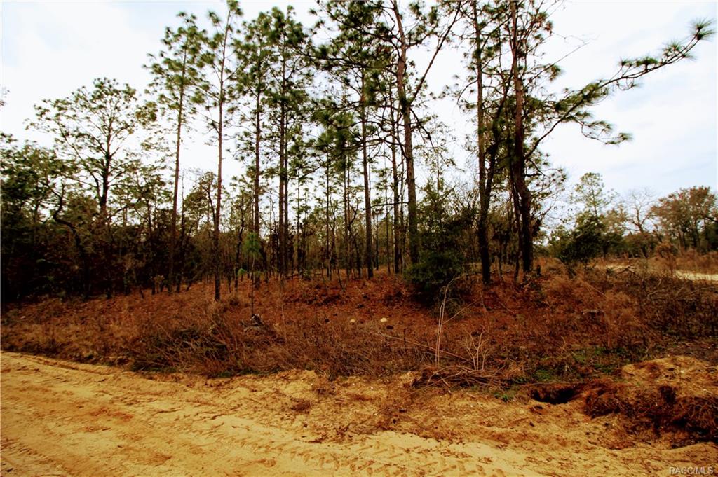 home for sale at in Citrus County