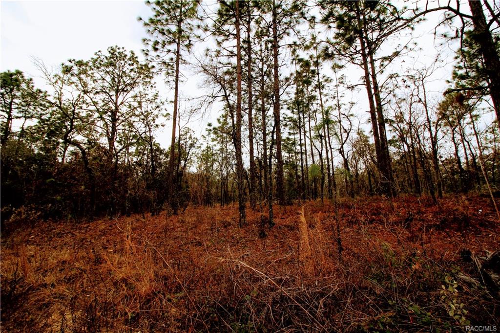 home for sale at in Citrus County