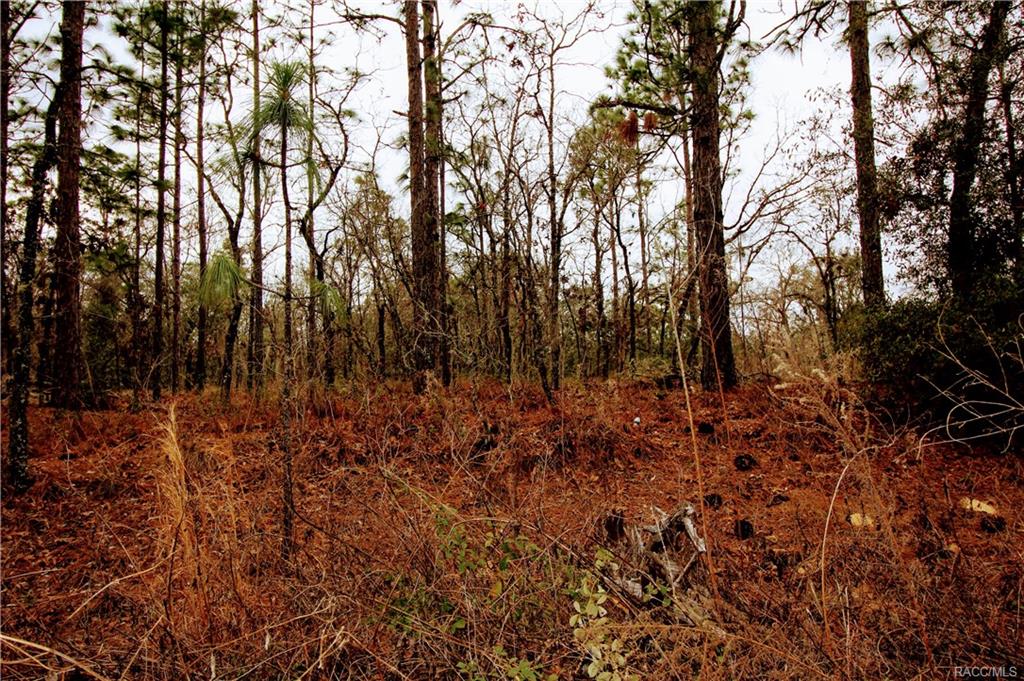 home for sale at in Citrus County