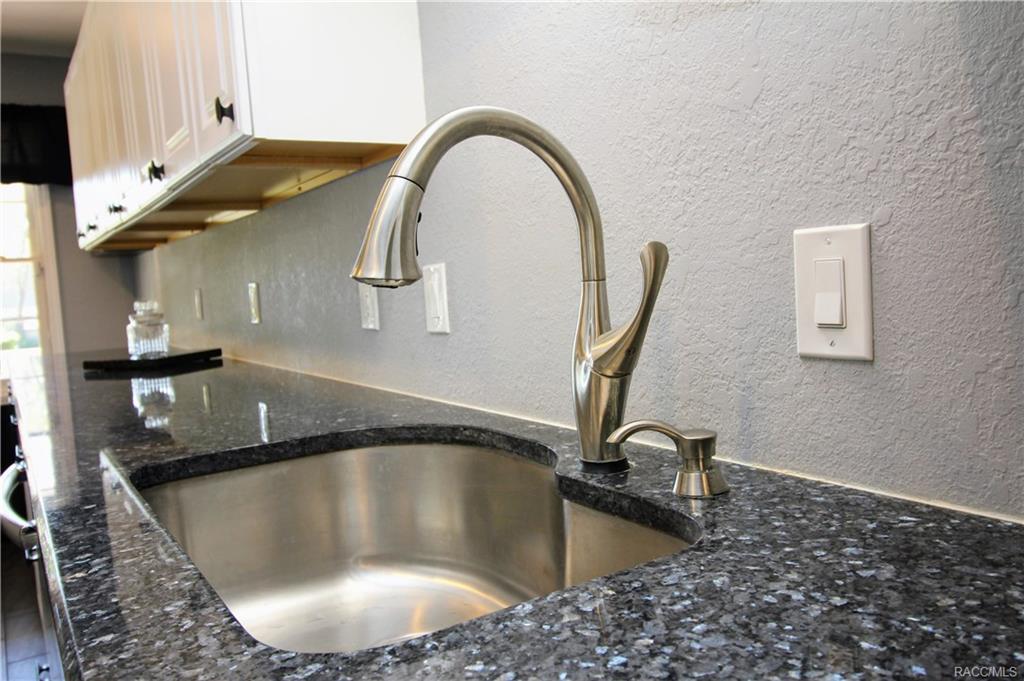 home for sale at 650 W Wild Pine Circle, Beverly Hills, FL 34465 in Parkside Village