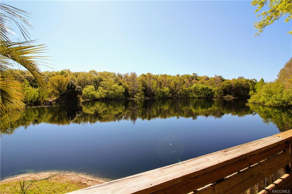 home for sale at 650 W Wild Pine Circle, Beverly Hills, FL 34465 in Parkside Village