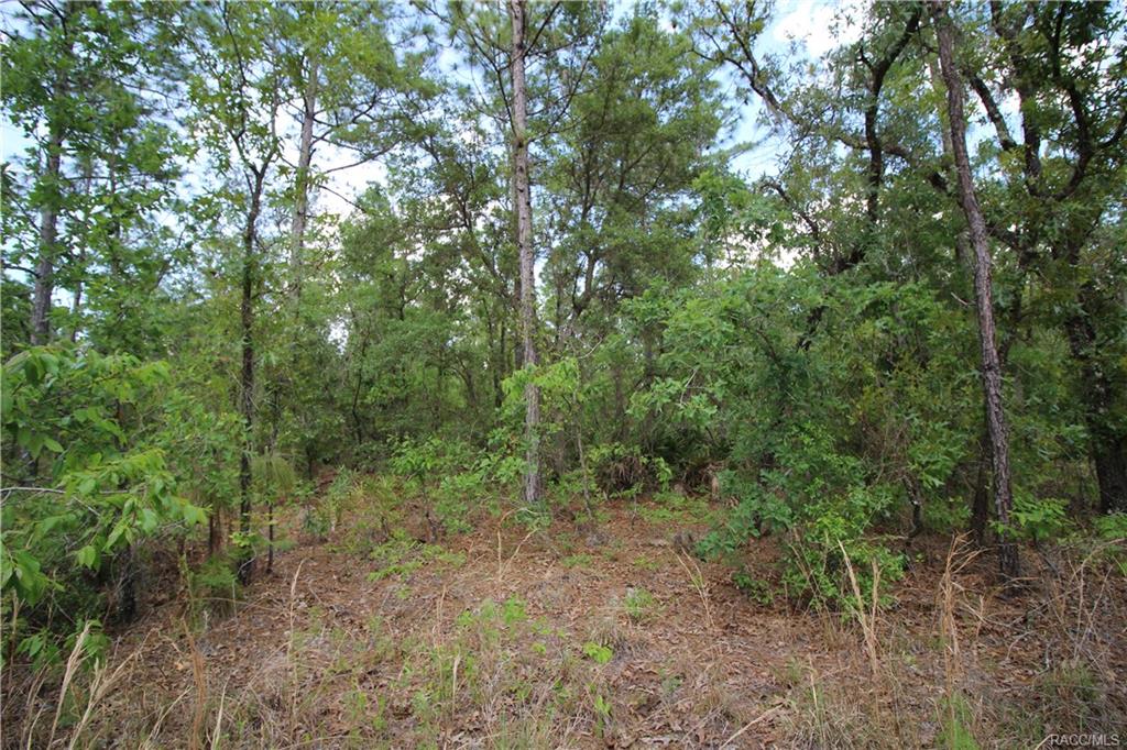 home for sale at 4929 N Sandpebble Point, Crystal River, FL 34428 in Citrus County