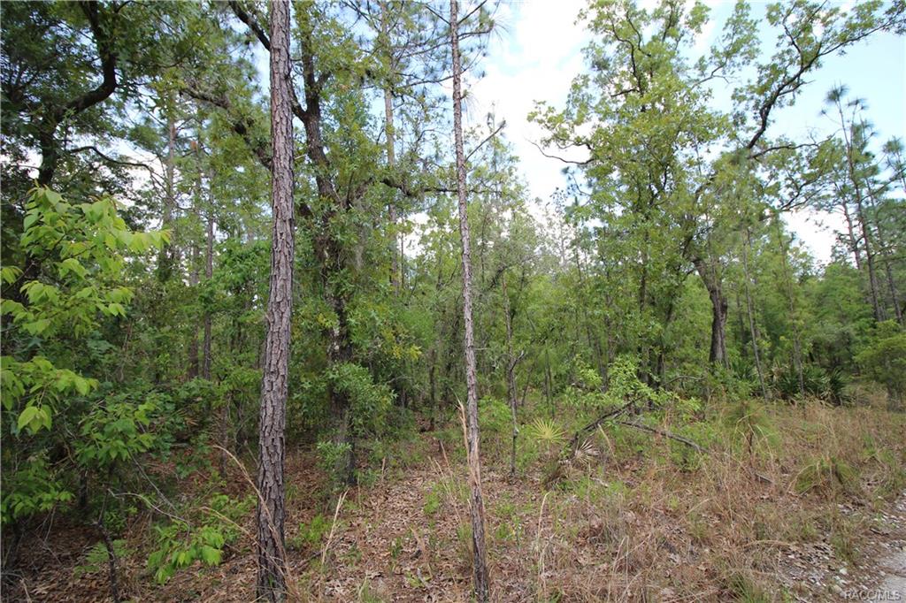 home for sale at 4929 N Sandpebble Point, Crystal River, FL 34428 in Citrus County