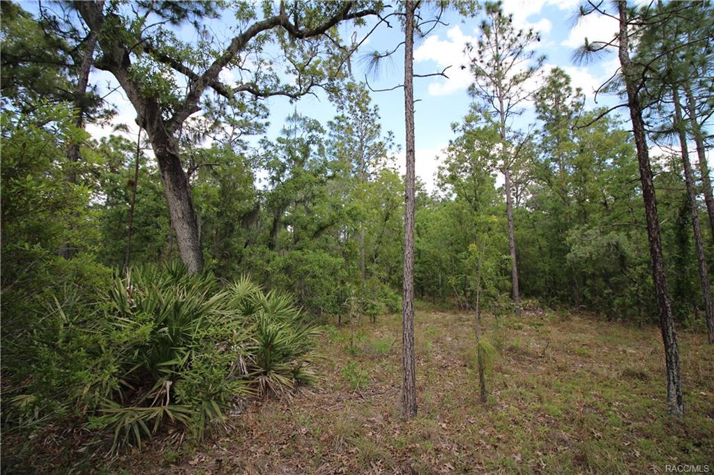 home for sale at 4929 N Sandpebble Point, Crystal River, FL 34428 in Citrus County