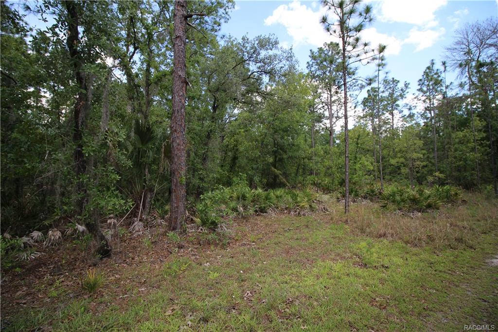 home for sale at 4929 N Sandpebble Point, Crystal River, FL 34428 in Citrus County