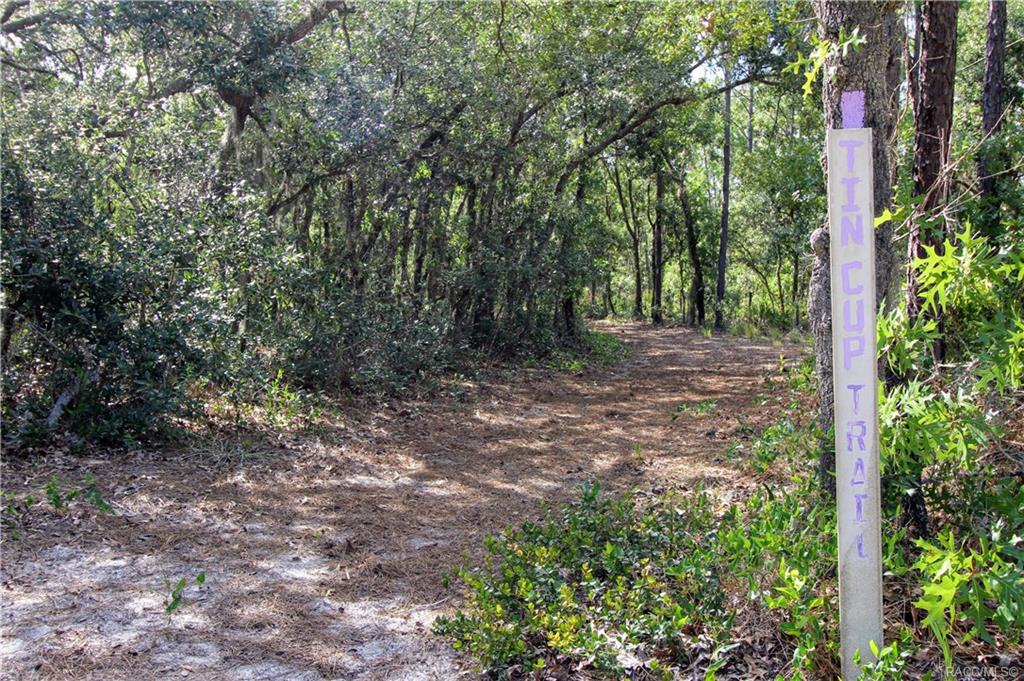 home for sale at in Citrus County