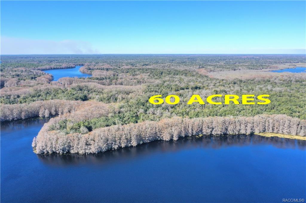 home for sale at 10080 E Gobbler Drive, Floral City, FL 34436 in Withlapopka Island