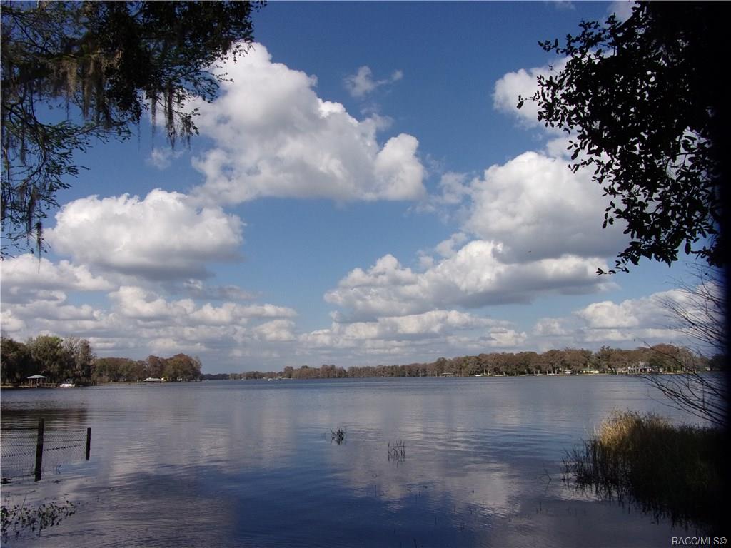 home for sale at 10080 E Gobbler Drive, Floral City, FL 34436 in Withlapopka Island