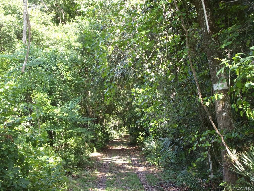 home for sale at 10080 E Gobbler Drive, Floral City, FL 34436 in Withlapopka Island