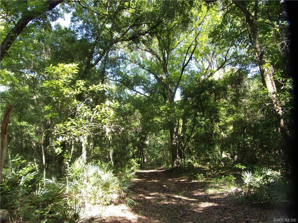 home for sale at 10080 E Gobbler Drive, Floral City, FL 34436 in Withlapopka Island