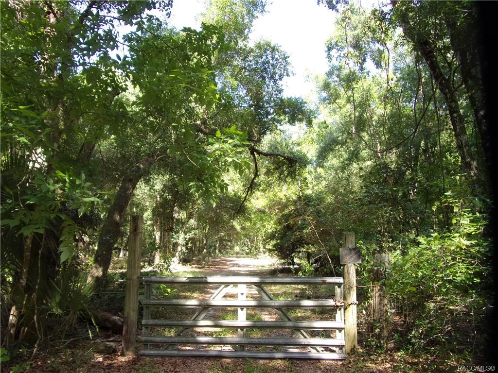 home for sale at 10080 E Gobbler Drive, Floral City, FL 34436 in Withlapopka Island