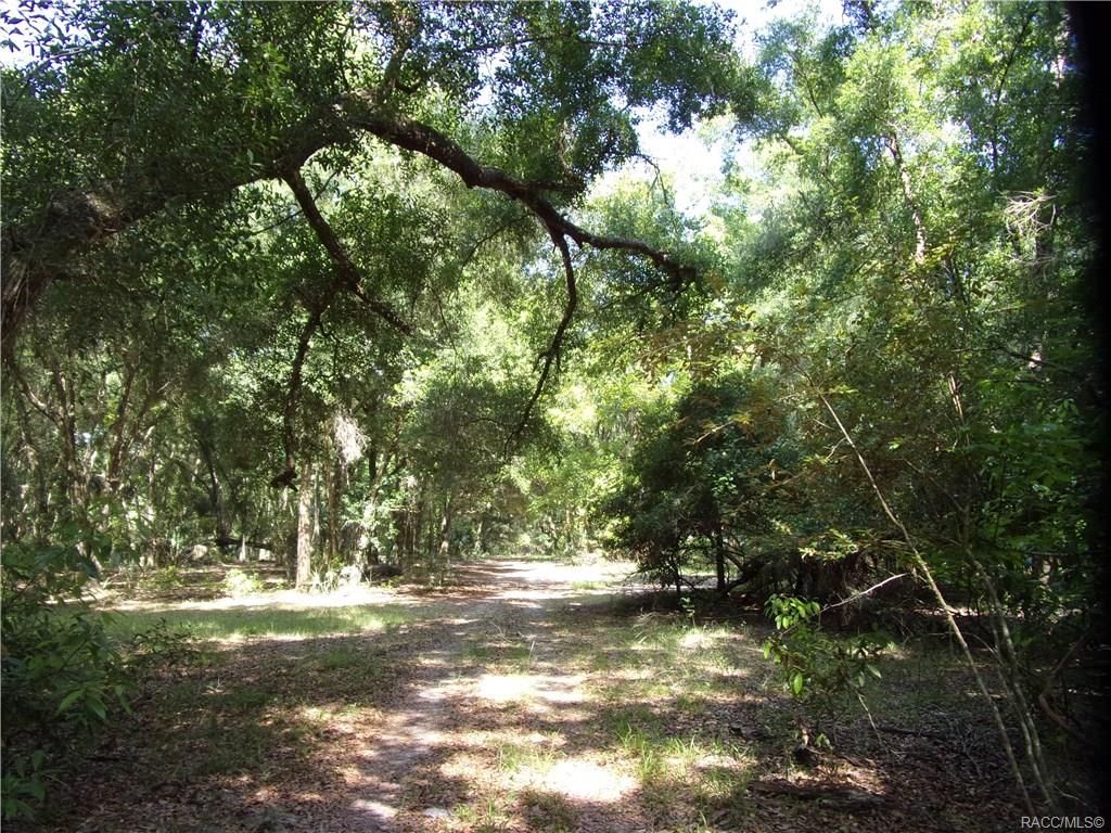 home for sale at 10080 E Gobbler Drive, Floral City, FL 34436 in Withlapopka Island