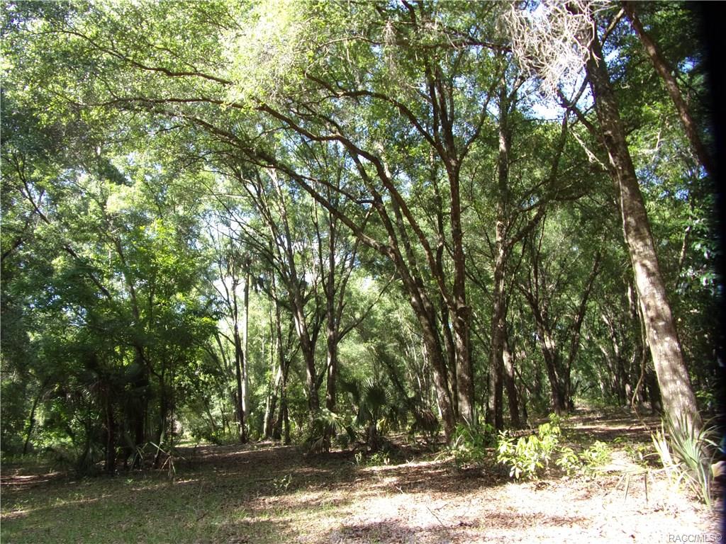 home for sale at 10080 E Gobbler Drive, Floral City, FL 34436 in Withlapopka Island