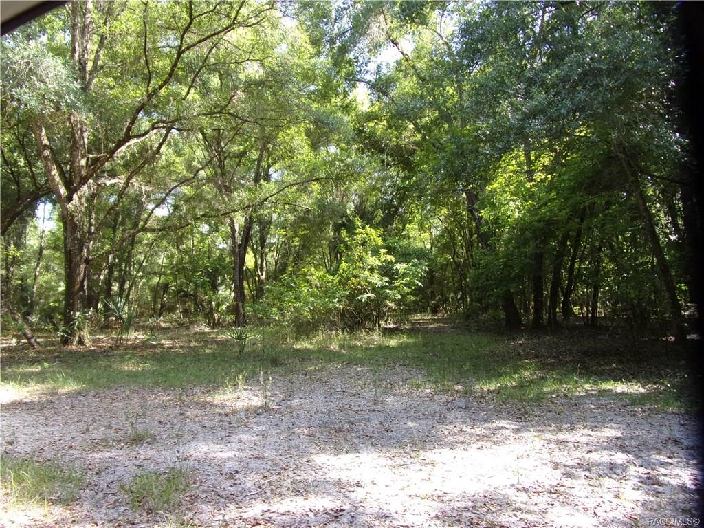 home for sale at 10080 E Gobbler Drive, Floral City, FL 34436 in Withlapopka Island