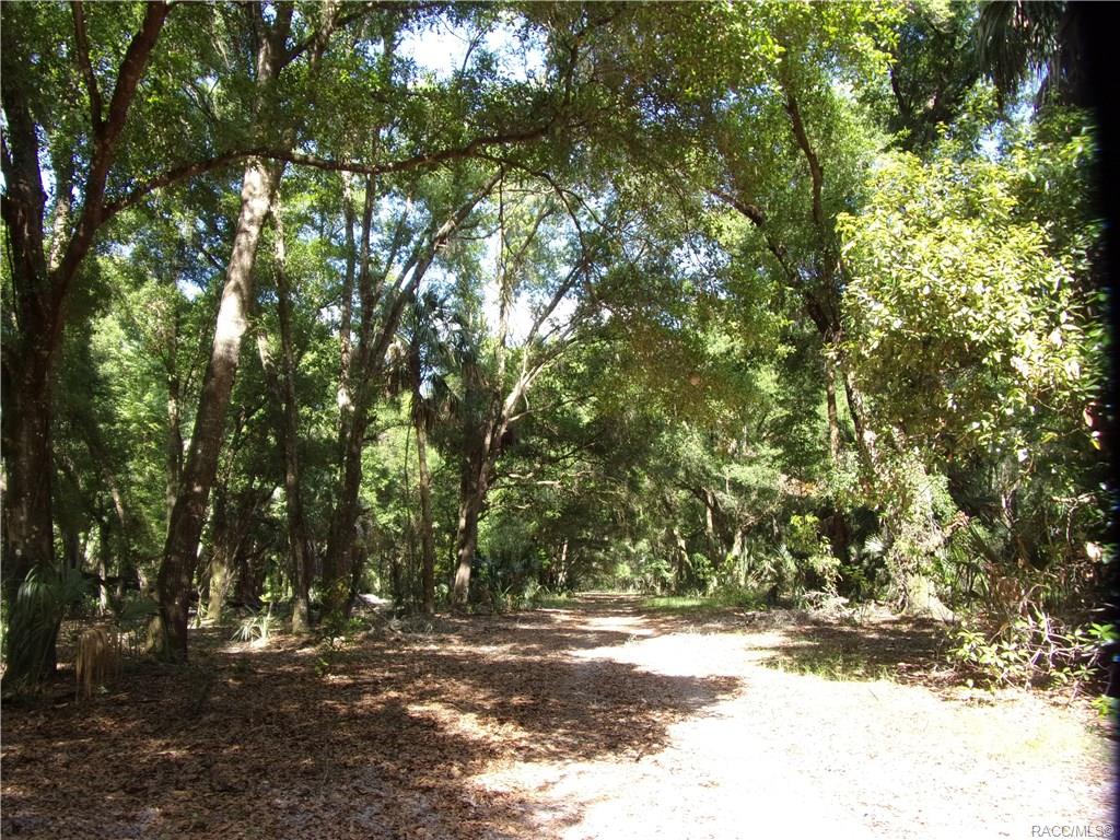 home for sale at 10080 E Gobbler Drive, Floral City, FL 34436 in Withlapopka Island