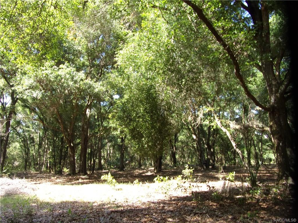 home for sale at 10080 E Gobbler Drive, Floral City, FL 34436 in Withlapopka Island