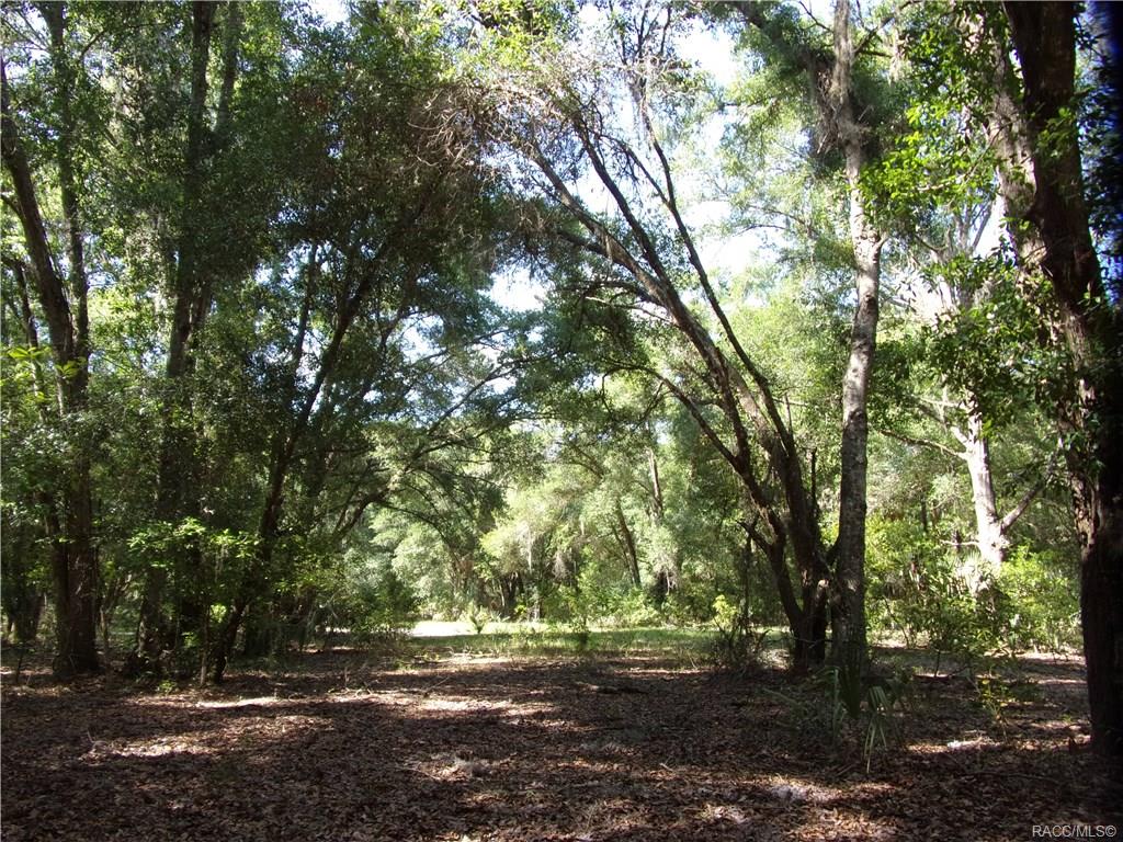 home for sale at 10080 E Gobbler Drive, Floral City, FL 34436 in Withlapopka Island