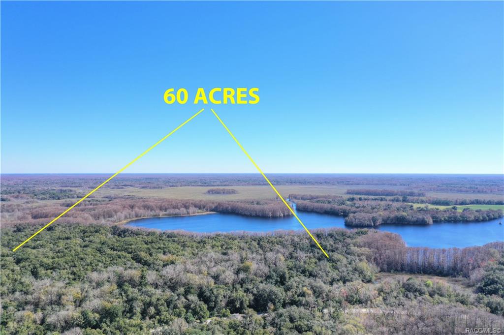 home for sale at 10080 E Gobbler Drive, Floral City, FL 34436 in Withlapopka Island