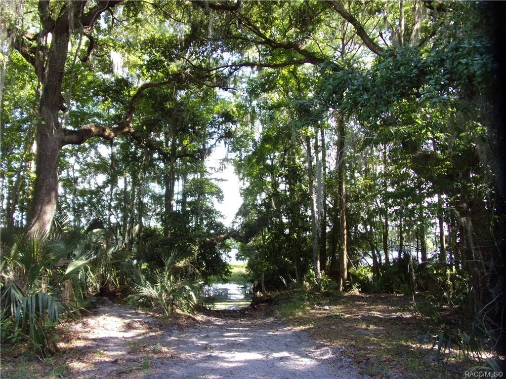 home for sale at 10080 E Gobbler Drive, Floral City, FL 34436 in Withlapopka Island