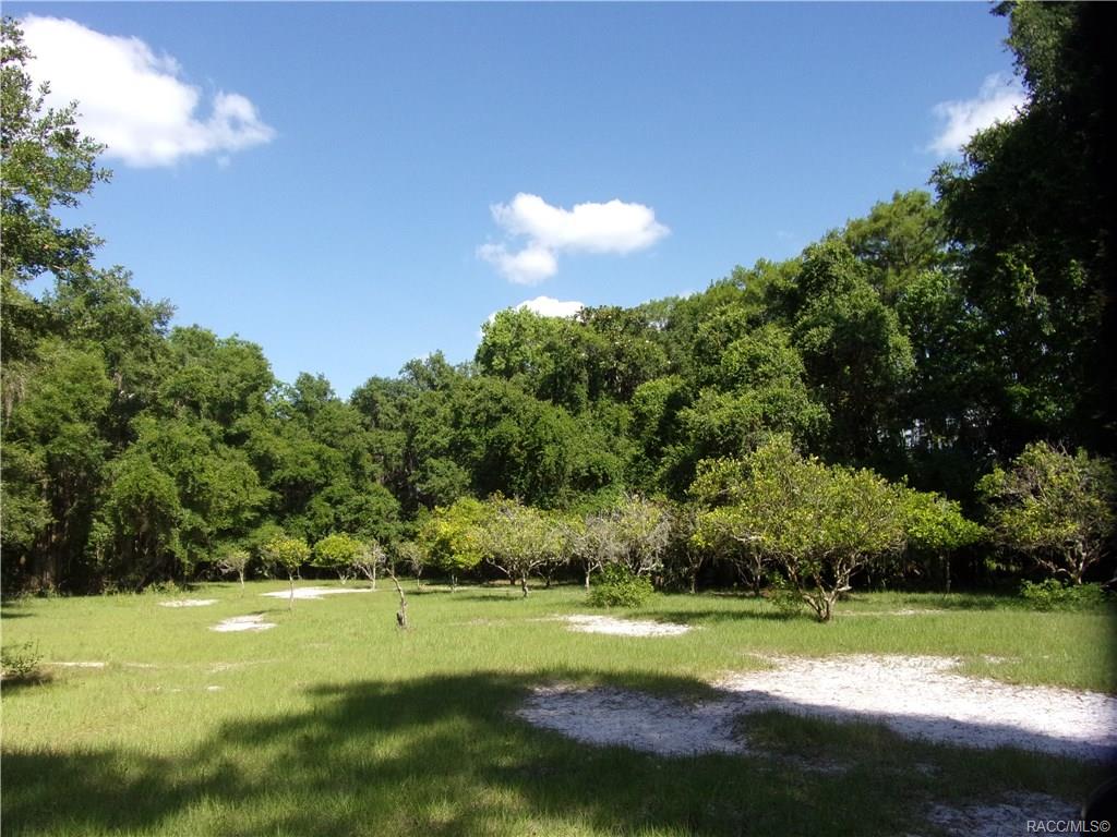 home for sale at 10080 E Gobbler Drive, Floral City, FL 34436 in Withlapopka Island