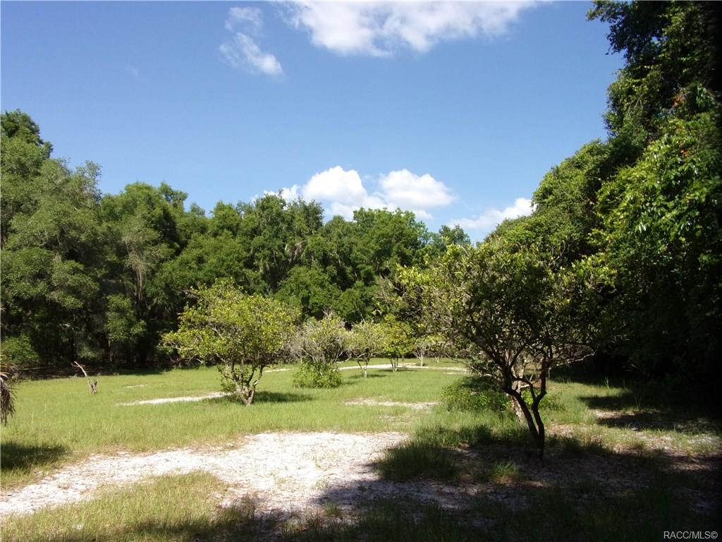 home for sale at 10080 E Gobbler Drive, Floral City, FL 34436 in Withlapopka Island