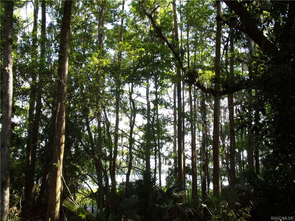 home for sale at 10080 E Gobbler Drive, Floral City, FL 34436 in Withlapopka Island