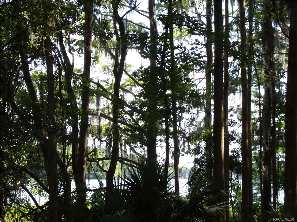 home for sale at 10080 E Gobbler Drive, Floral City, FL 34436 in Withlapopka Island