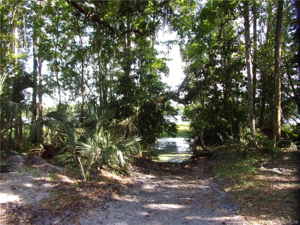 home for sale at 10080 E Gobbler Drive, Floral City, FL 34436 in Withlapopka Island