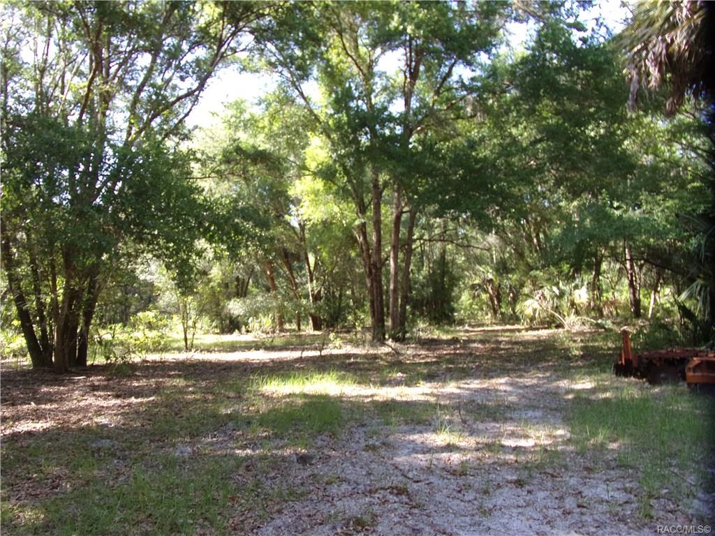 home for sale at 10080 E Gobbler Drive, Floral City, FL 34436 in Withlapopka Island