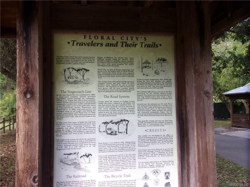 home for sale at 10080 E Gobbler Drive, Floral City, FL 34436 in Withlapopka Island