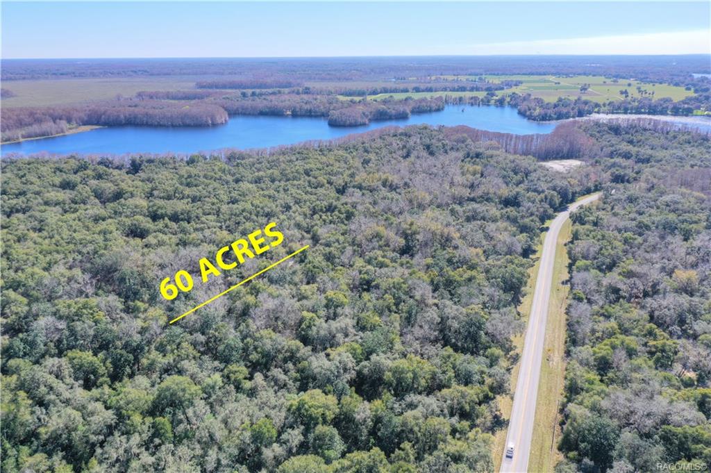 home for sale at 10080 E Gobbler Drive, Floral City, FL 34436 in Withlapopka Island