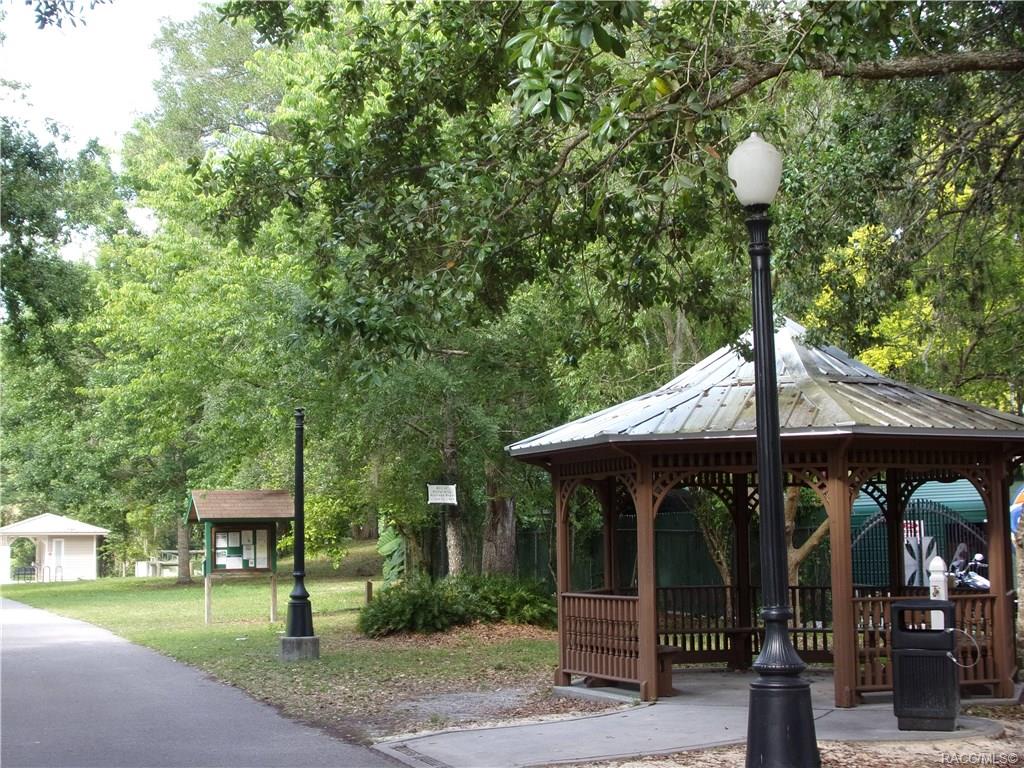 home for sale at 10080 E Gobbler Drive, Floral City, FL 34436 in Withlapopka Island