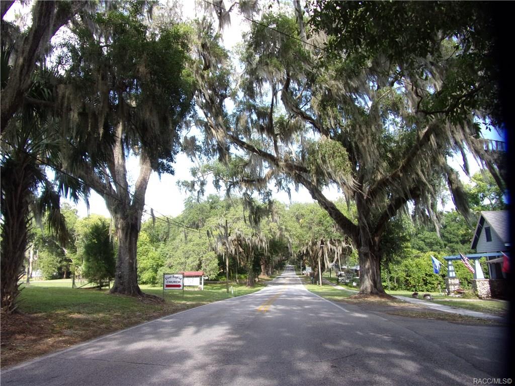 home for sale at 10080 E Gobbler Drive, Floral City, FL 34436 in Withlapopka Island