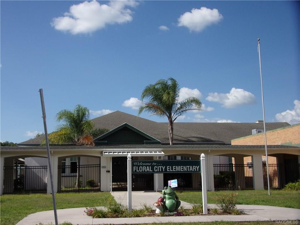 home for sale at 10080 E Gobbler Drive, Floral City, FL 34436 in Withlapopka Island